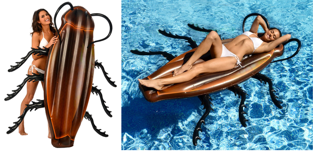Illustration for article titled Spend the Rest of the Summer Floating Around on a Giant Cockroach